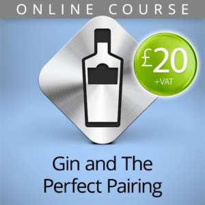 gin pairing online course