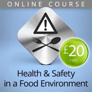 health and safety food online course